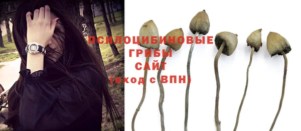 PSILOCYBIN Михайловск