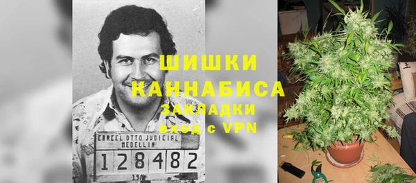PSILOCYBIN Михайловск