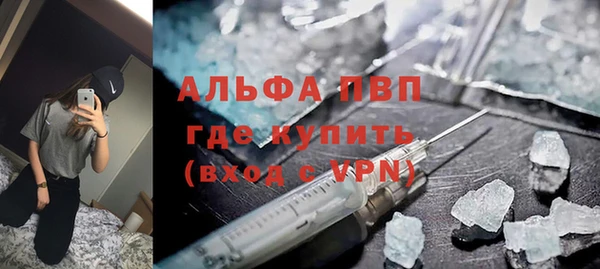 прущие грибы Чердынь