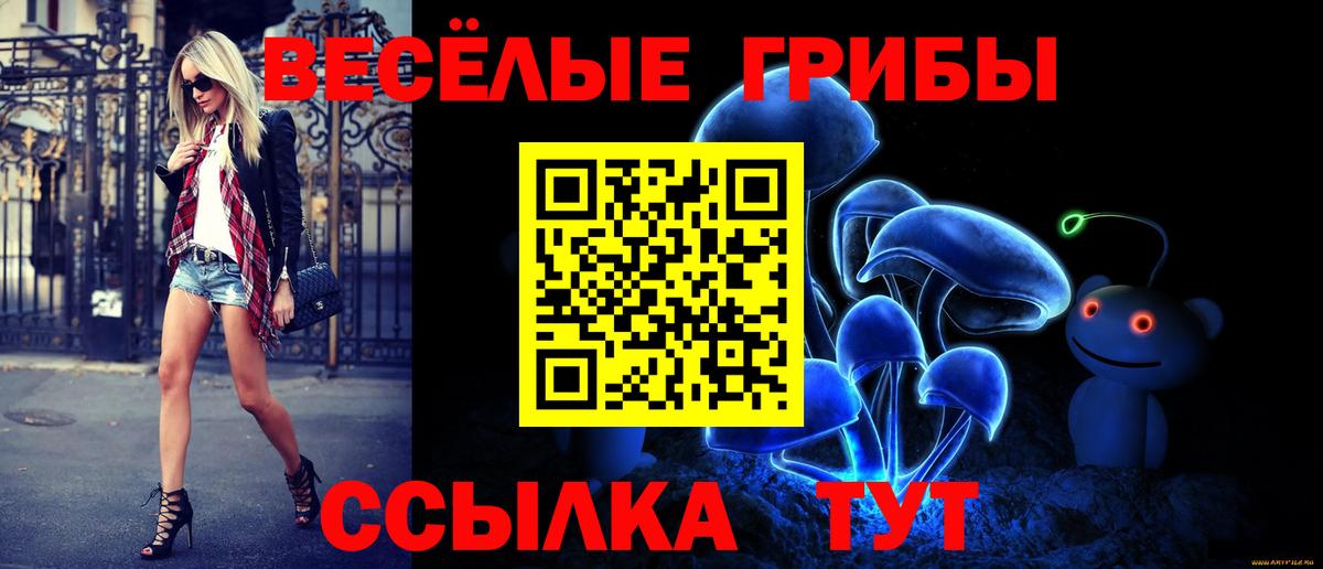Ангарск  Псилоцибиновые грибы Magic Shrooms  Вход с VPN 